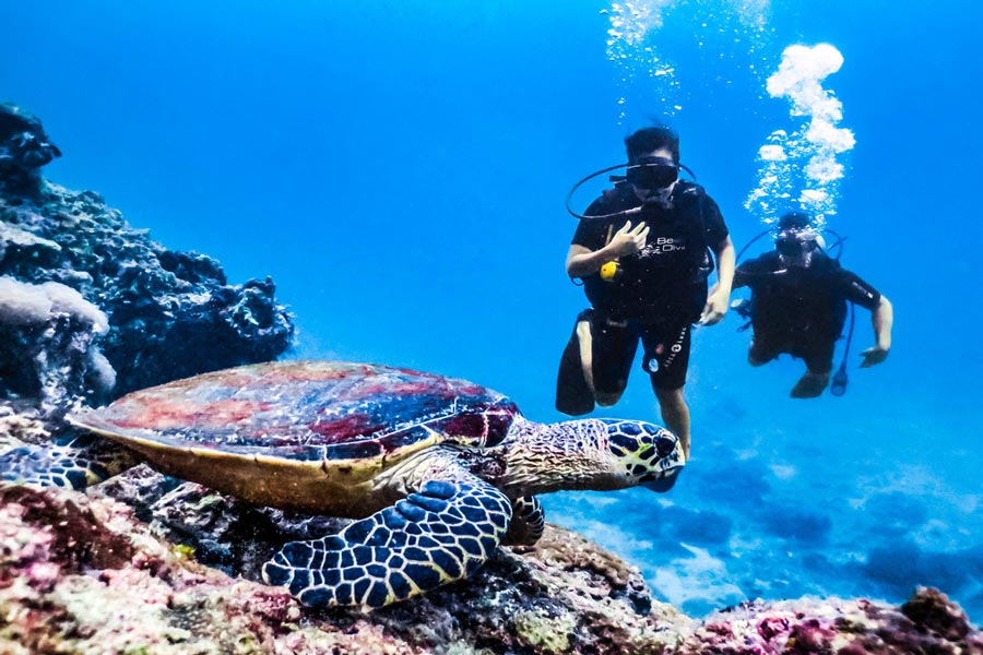 Koh Phi Phi - Qual è il posto migliore in Thailandia per fare immersioni?