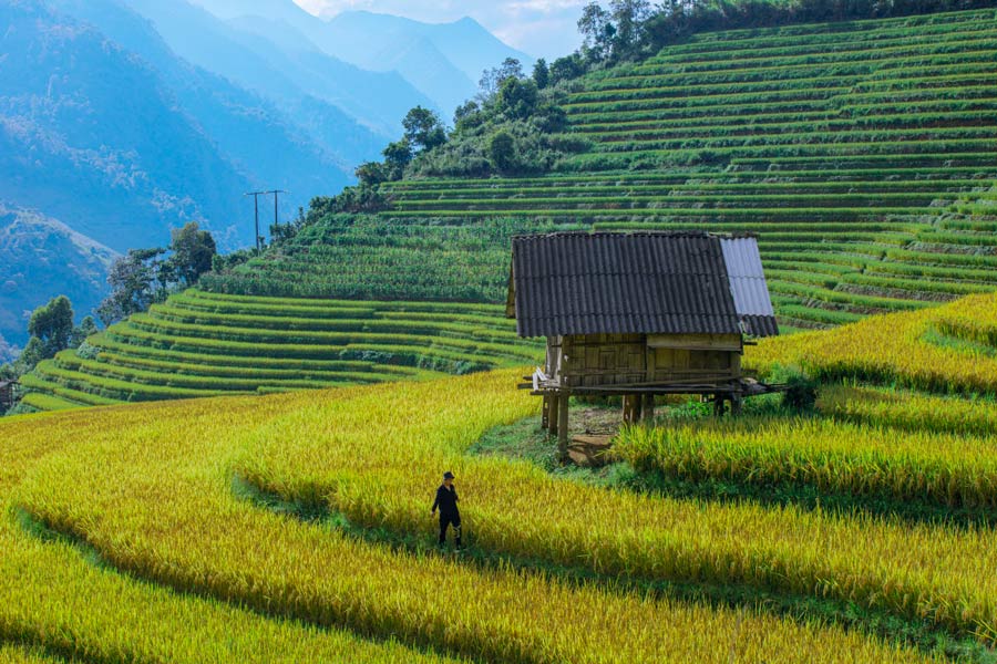 Lao Chai - Consigli di viaggio - Attrazione di Lao Cai