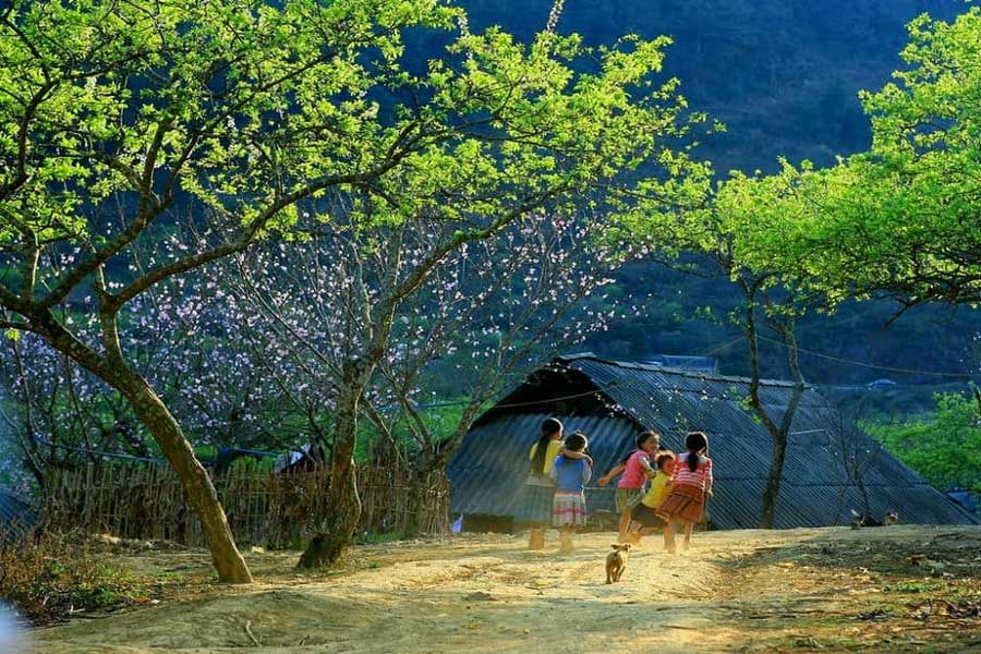 Moc Chau 