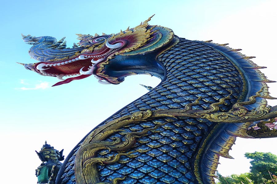 Naga elegante