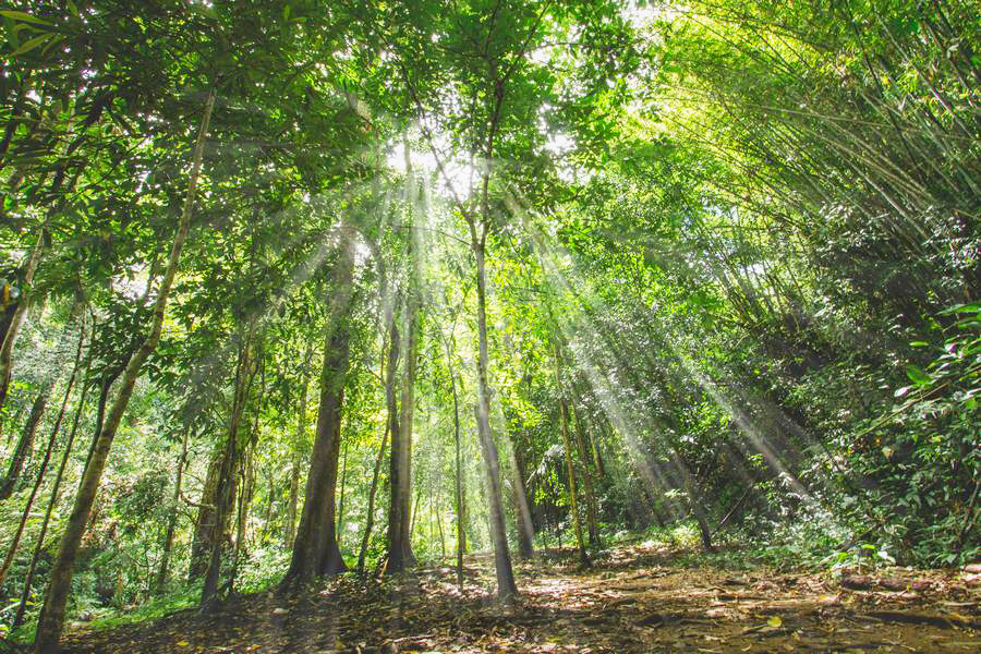 Benvenuti al Parco forestale di Namtok Khun Kon
