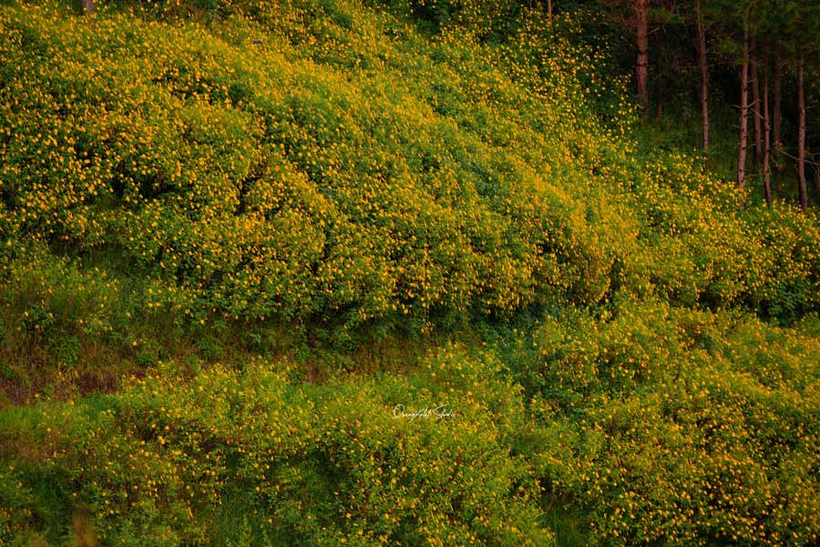 Viaggi a Da Lat nel ottobre