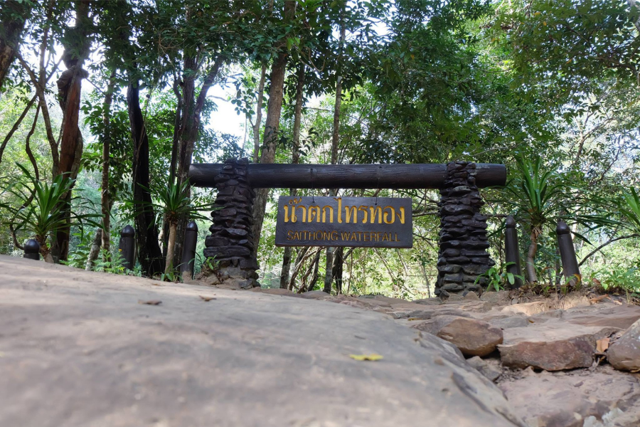 Parco nazionale di Sai Thong - Guida di viaggio - Attrazione in Thailandia