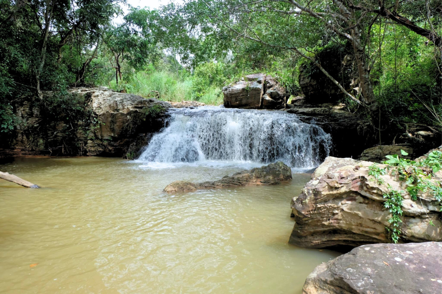 Parco nazionale di Sai Thong - Guida di viaggio - Attrazione in Thailandia