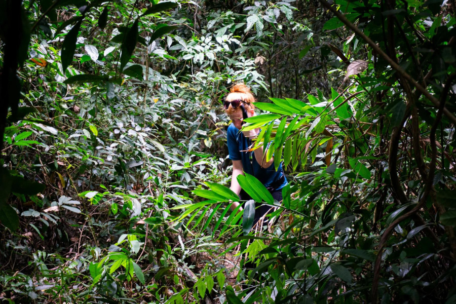 Parco nazionale di Kep - Guida di viaggio - Attrazione in Cambogia 
