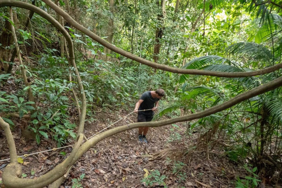 Parco nazionale di Kep - Guida di viaggio - Attrazione in Cambogia 