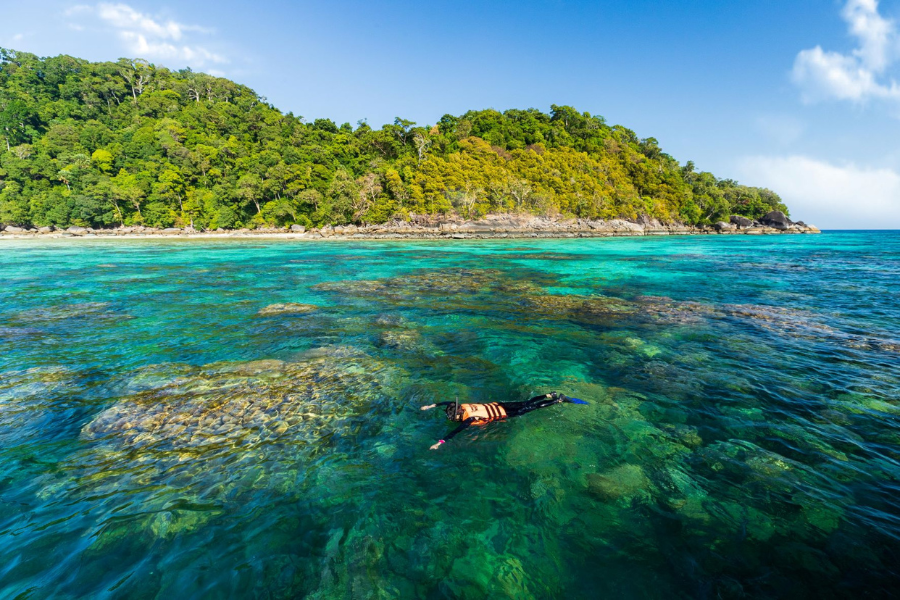 Parco nazionale di Mu Koh Surin - Guida di viaggio - Attrazione in Thailandia