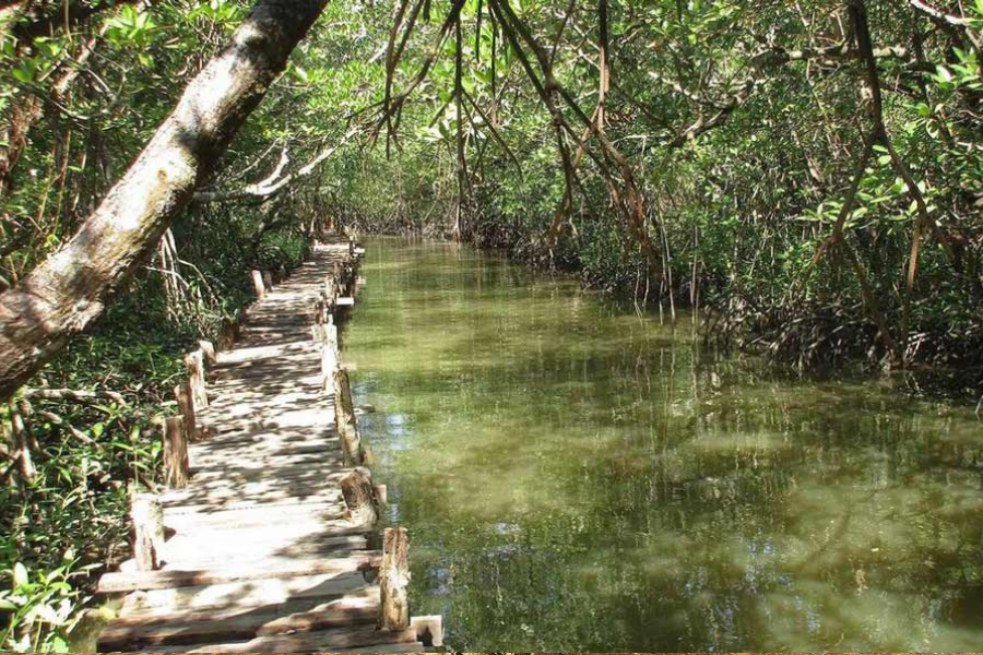 Parco nazionale di Ream - Guida di viaggio in Cambogia