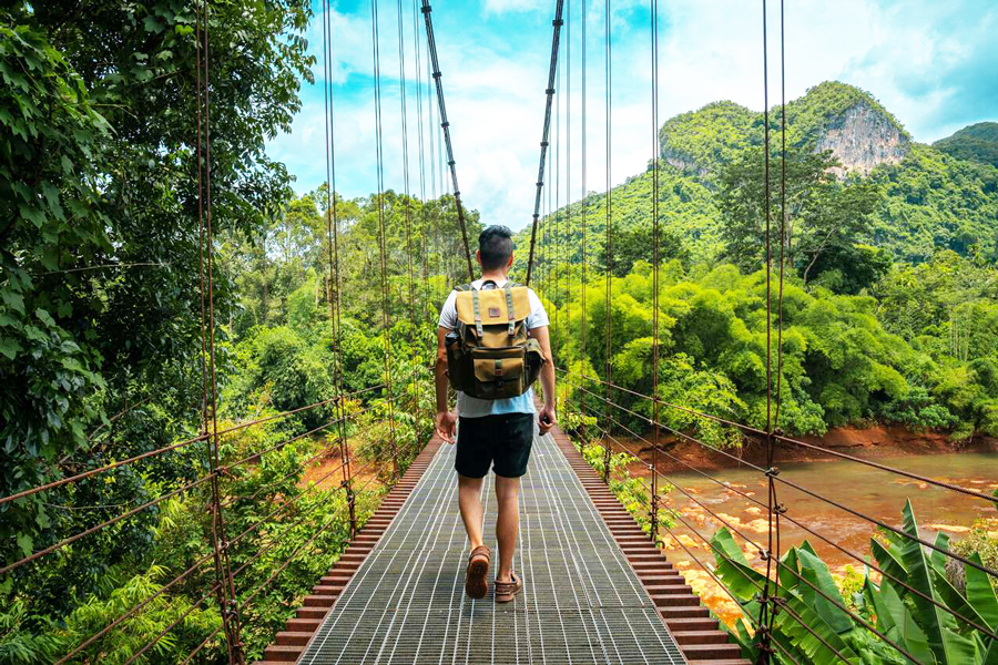 Khao Sok Canopy Walkway