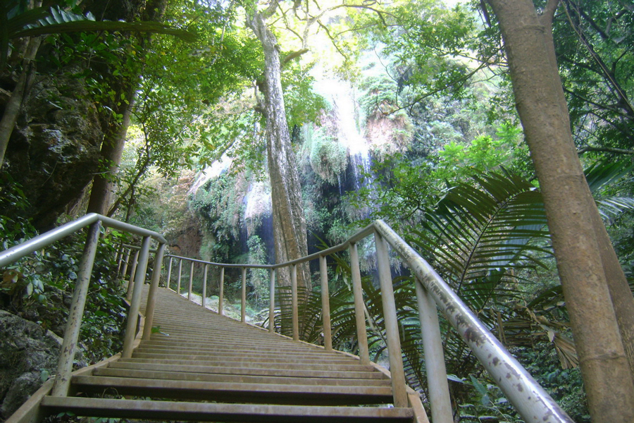 La scalinata conduce alla cascata Phan Rom Yen