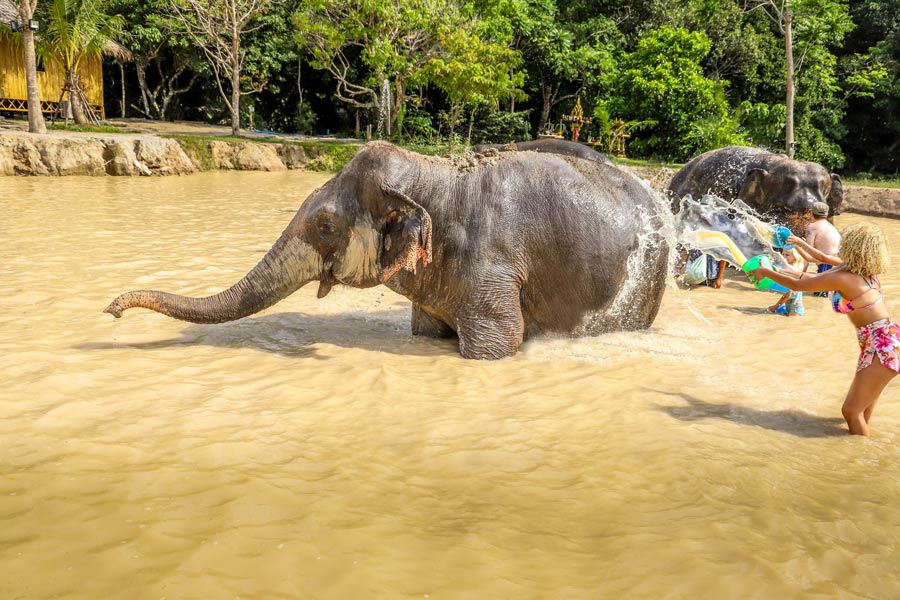 Parco degli elefanti di Phuket, Phuket