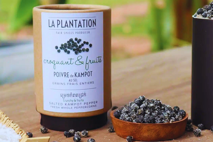 Piantagioni di pepe di Kampot - Guida di viaggio in Cambogia