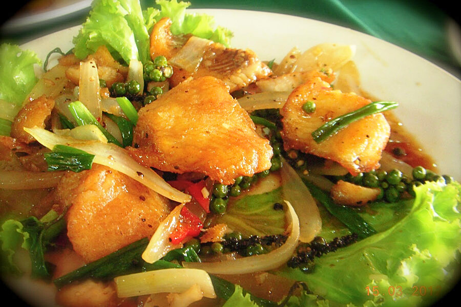 Piantagioni di pepe di Kampot - Guida di viaggio in Cambogia