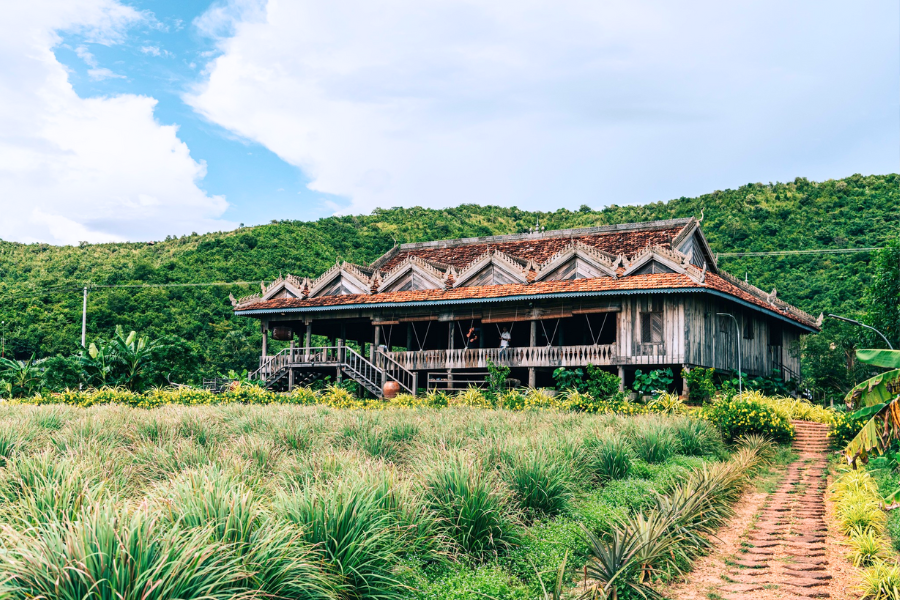 Piantagioni di pepe di Kampot - Guida di viaggio in Cambogia