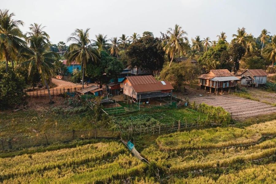 Prasat Sambor Prei Kuk - Guida di viaggio - Attrazione in Cambogia