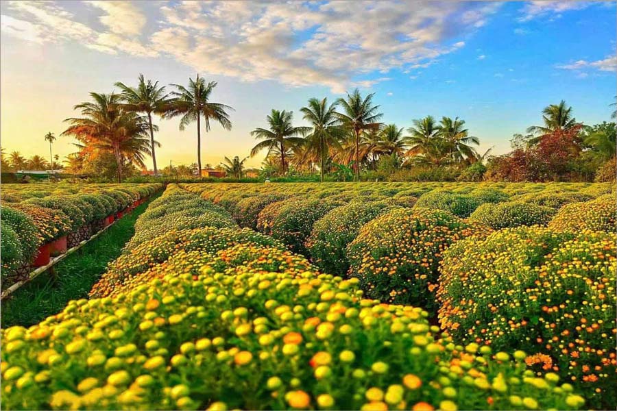 Il periodo migliore per visitare il villaggio dei fiori di Sa Dec