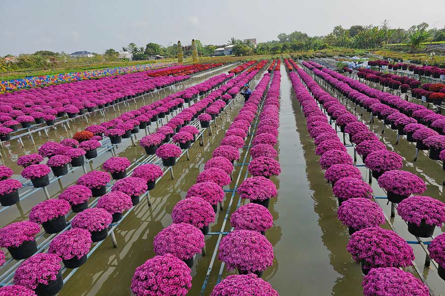 Panoramica del Villaggio dei Fiori di Sa Dec