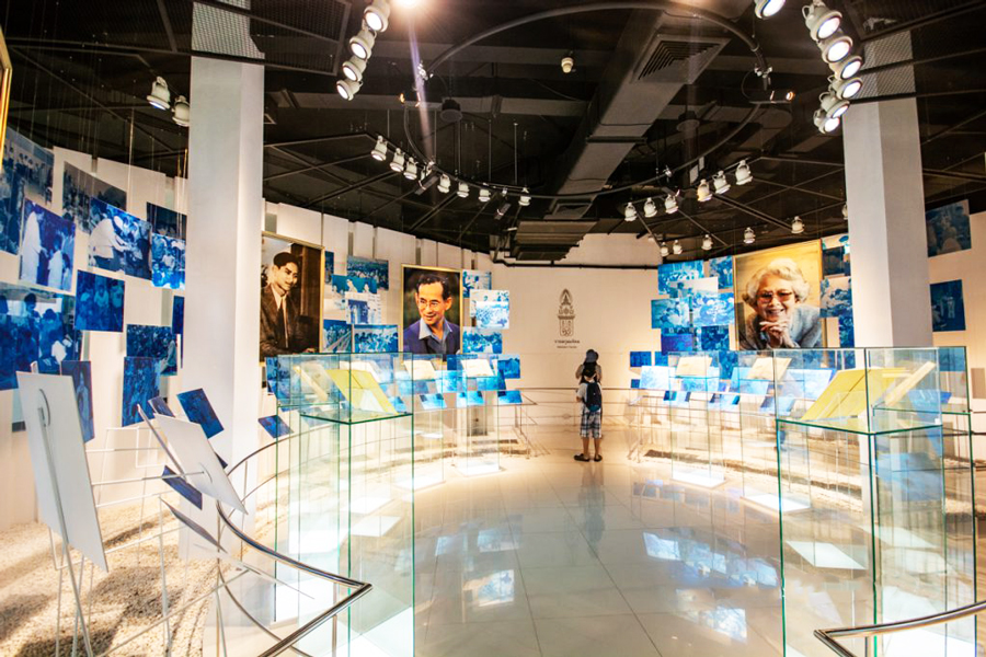 Osserva le mostre all'interno del museo