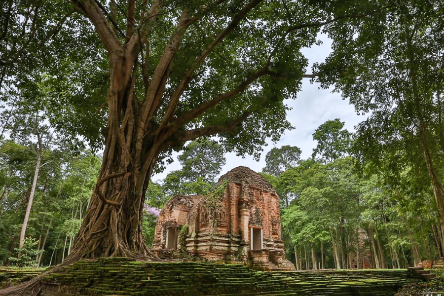 Sambor Prei Kuk - Guida di viaggio - Attrazione in Cambogia