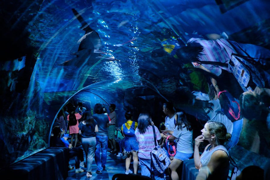 Sea Life Bangkok, Bangkok