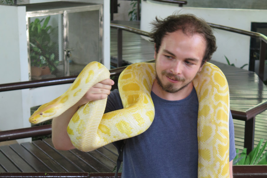 Fattoria dei serpenti, Bangkok