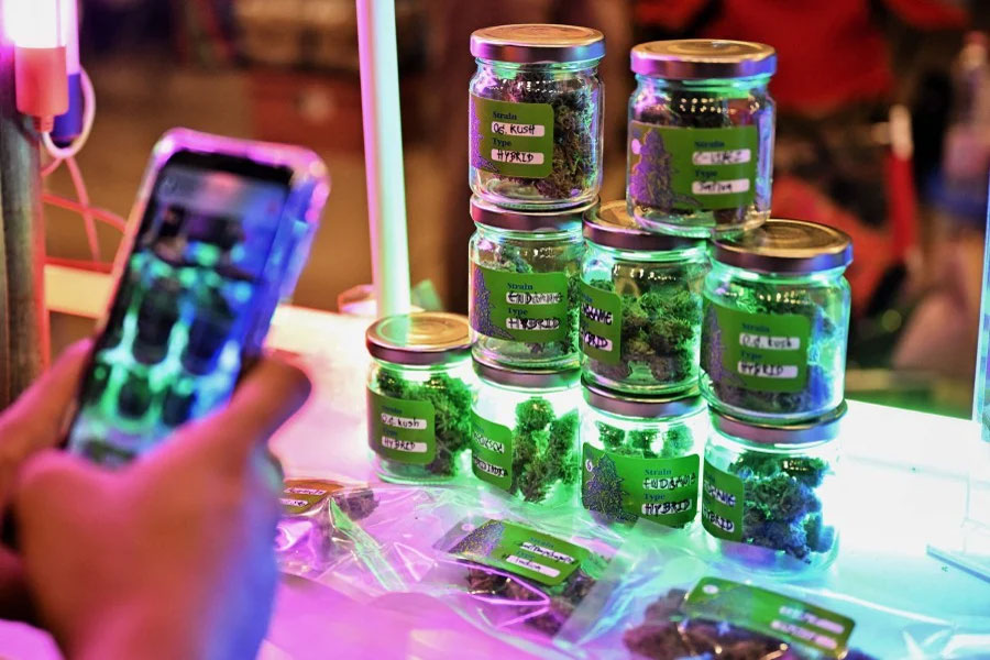 Per provare la cannabis in modo sicuro e legale, è necessario conoscere le regole.