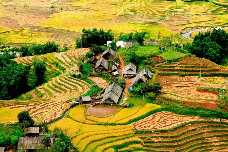 Ta Phin - Guida di viaggio - Attrazione di Lao Cai