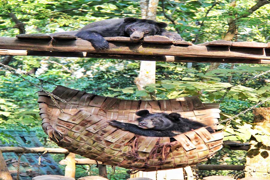 Ricca biodiversità