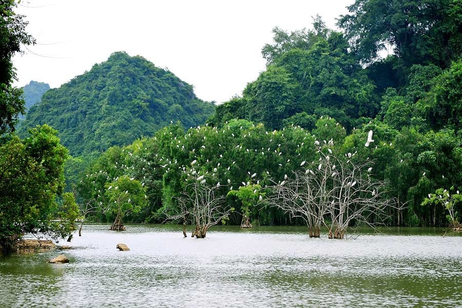 Thung Nham a Ninh Binh