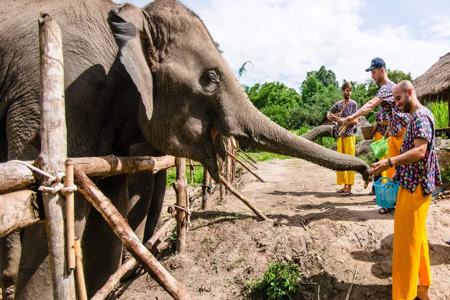 Giro dell'elefante