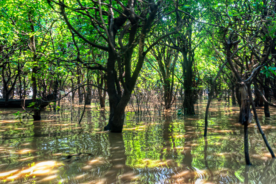 Una giornata al lago Tonle Sap in Cambogia - Guida di viaggio