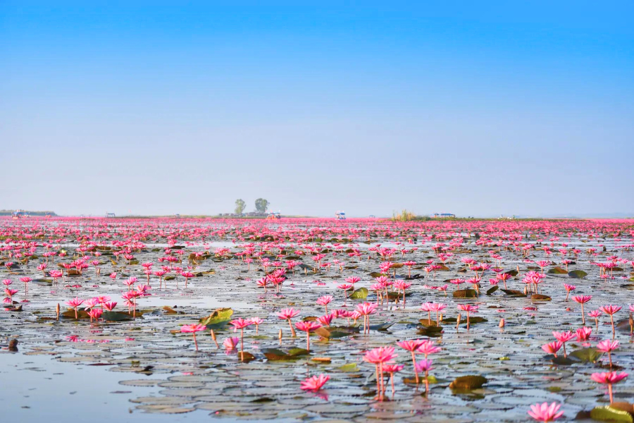Una giornata al lago Tonle Sap in Cambogia - Guida di viaggio