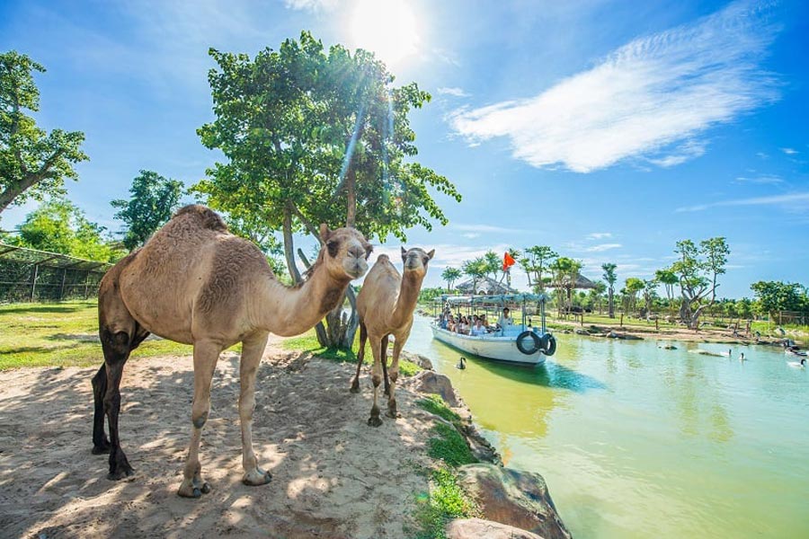 Tour viaggio ad Hoi An