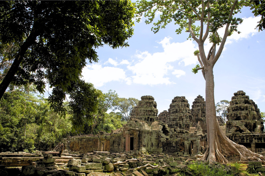 Tour della Cambogia  4 giorni 3 notti