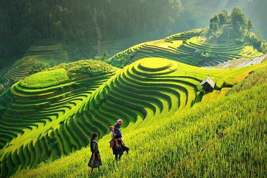 Trekking a Sapa
