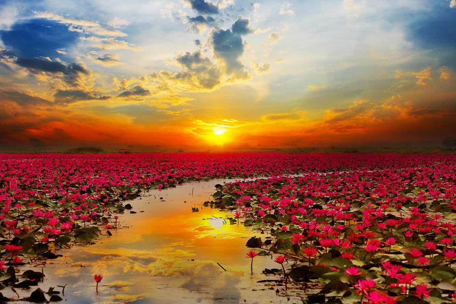 udon thani