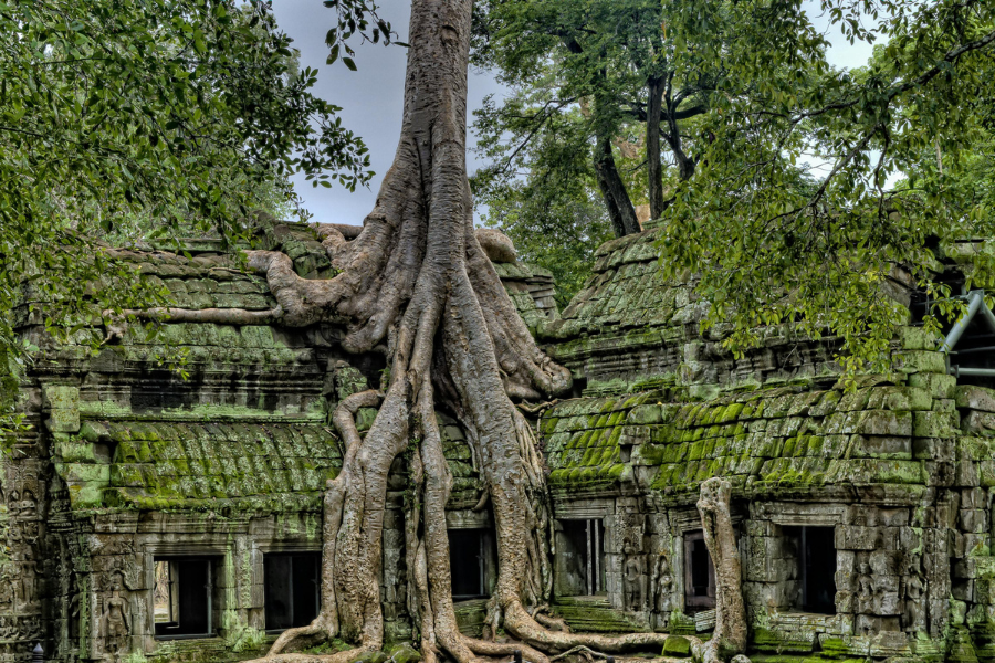 Una settimana in Cambogia - Guida di viaggio - Attrazione in Cambogia