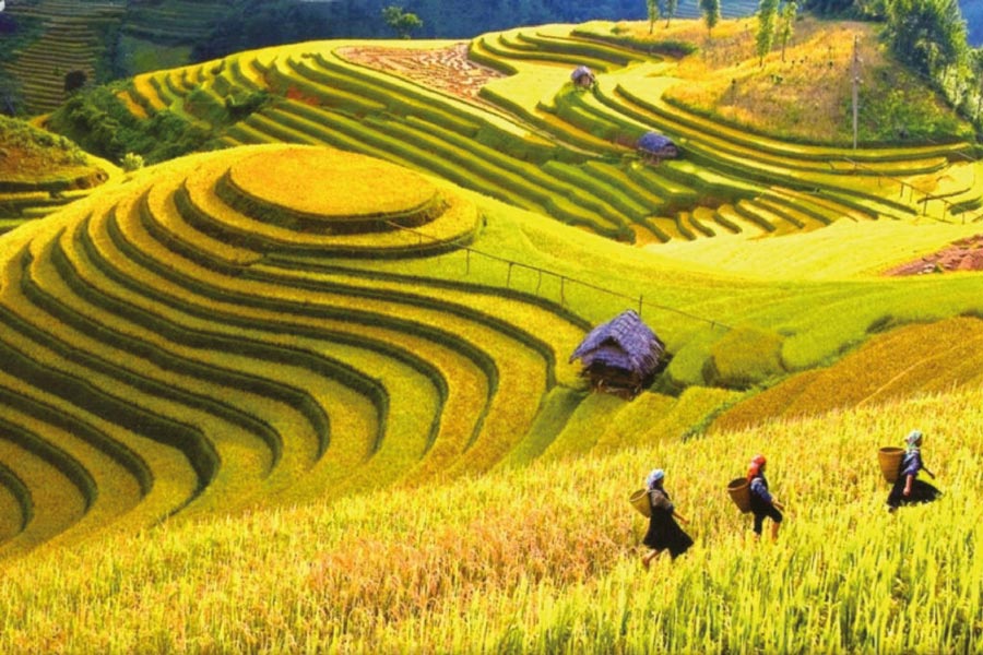Trekking a Sapa