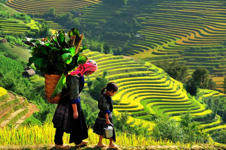 Trekking a Sapa