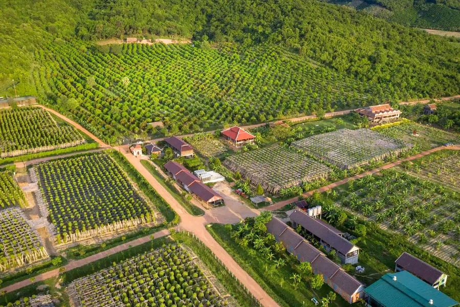 Visita della cultura di Cambogia in 15 giorni