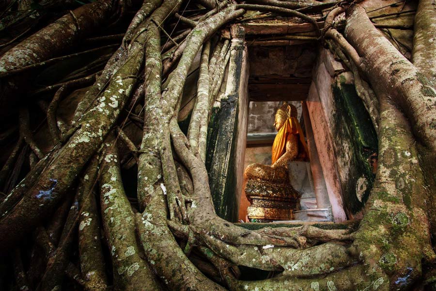 Panoramica sul clima di Wat Bang Kung