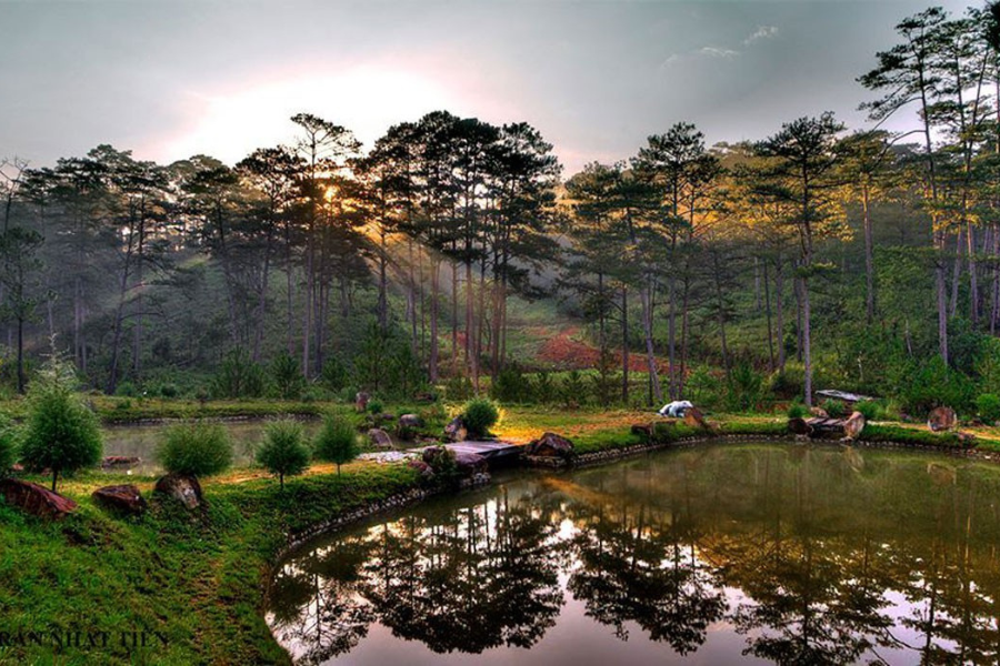 Altopiano di Lam Vien - Attrazione in Lam Dong