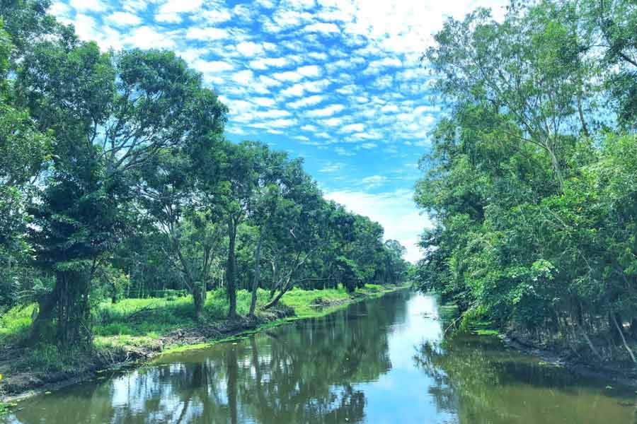 Area di conservazione Lung Ngoc Hoang di Hau Giang