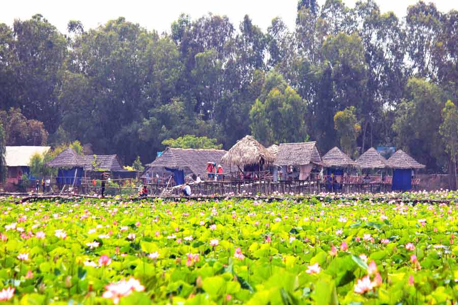 L'area ecoturistica Dong Sen Thap Muoi