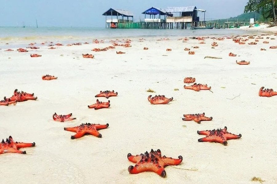 Cosa vedere a Phu Quoc