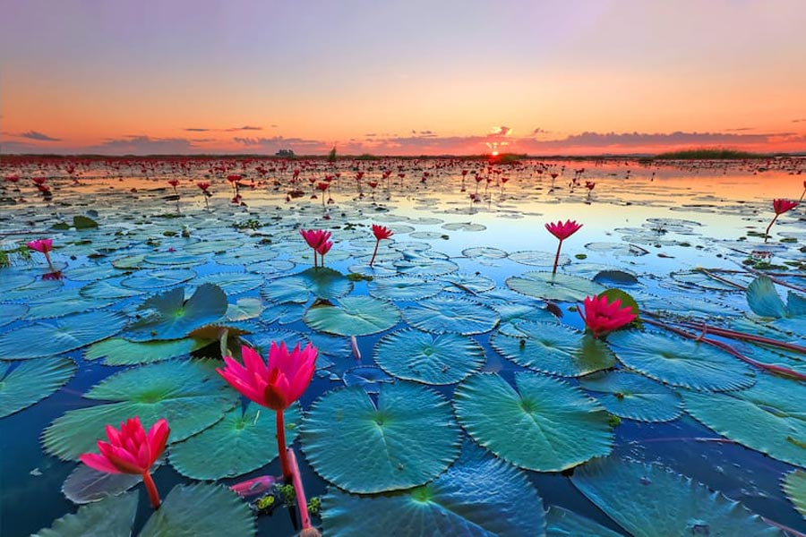 La bellezza naturale di Udon Thani