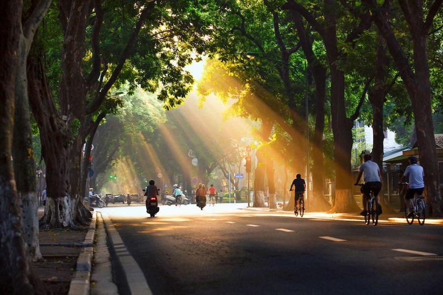 Raggi di sole autunnali tra gli alberi lungo le strade di Hanoi