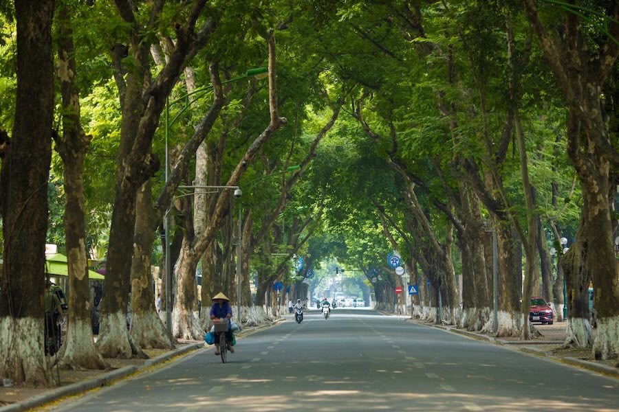 Il celebre viale alberato di via Phan Dinh Phung