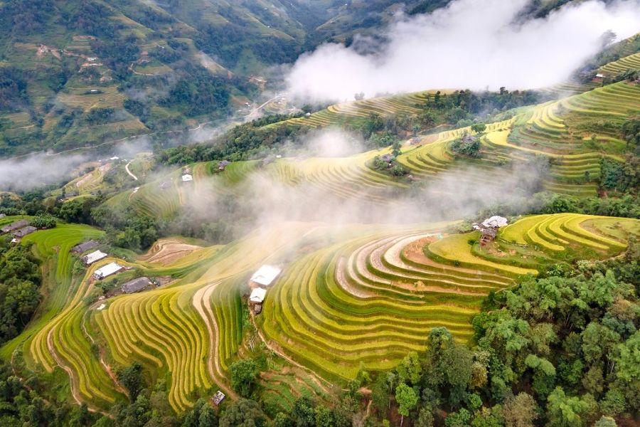 Risaie a terrazza dorate a Hoang Su Phi a settembre