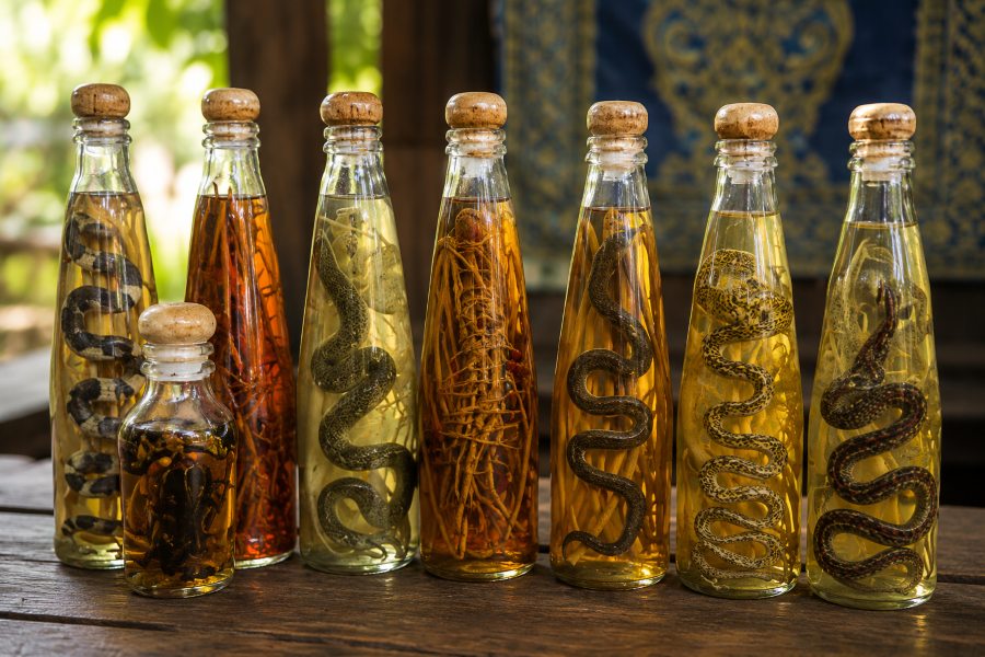 Distillato di riso con serpenti a Ban Xang Hai